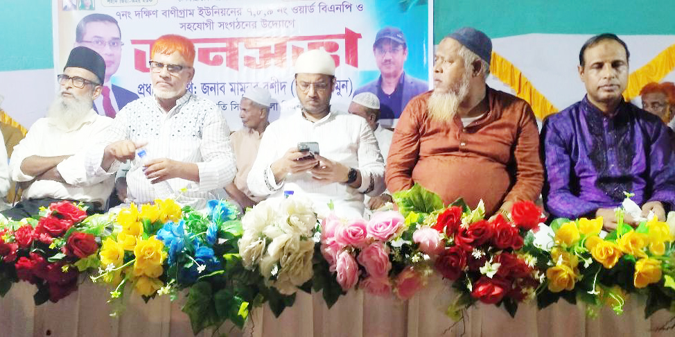 বিএনপির গণজোয়ারে সব ষড়যন্ত্রে ভেসে যাবে : চাকসু মামুন 