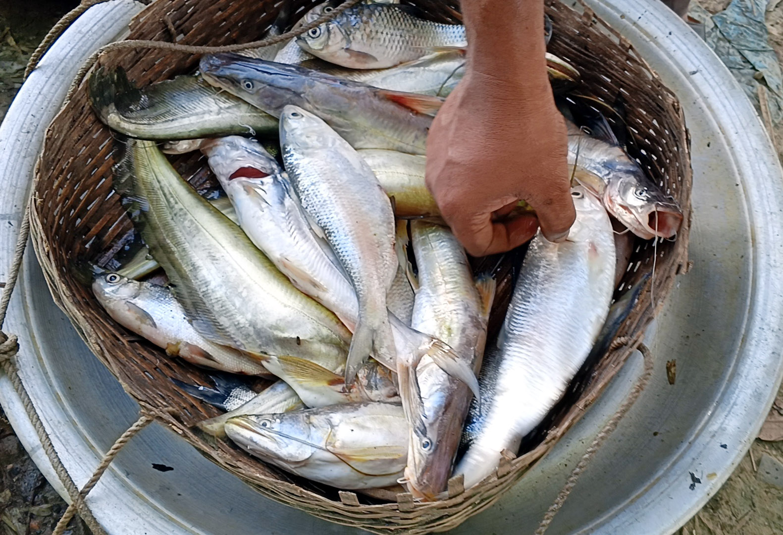 post-title