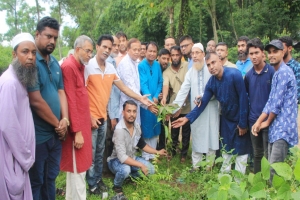 মহানগর কৃষকদলের উদ্যোগে বৃক্ষরোপন