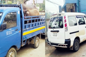 সিলেট-ঢাকা মহাসড়কে মহিষের গাড়ি ছিনতাইয়ের চেষ্টা, আটক ২