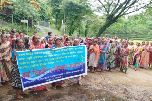 ৫০০ টাকা মজুরিসহ ৪ দাবিতে সিলেটে কর্মবিরতিতে চা শ্রমিকরা