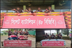 সিলেট সীমান্তে ৫২ লাখ টাকার চোরাচালানি মালামাল জব্দ 