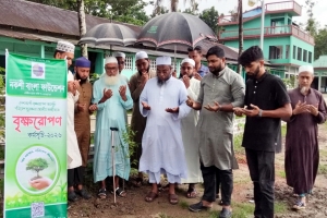 সবুজ বাংলা বিনির্মানে বৃক্ষরোপণে সবাই এগিয়ে আসুন: এমপি মুফতি আবুল হাসান