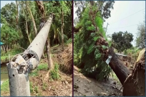 মৌলভীবাজারে কালবৈশাখীর তাণ্ডবে বিদ্যুৎ বিপর্যয়