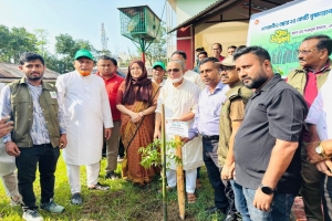 প্রধানমন্ত্রীর কর্মসূচির অংশ হিসেবে কুলাউড়ায় বৃক্ষরোপণ কর্মসূচির উদ্বোধন