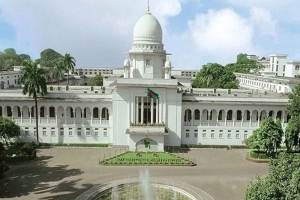 গণভোটের ফল বাতিল চেয়ে রিট