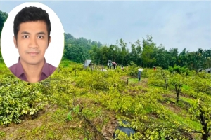  কমলগঞ্জে ১২০০ কমলা গাছ কাটা সেই বন রেঞ্জ কর্মকর্তা রংপুরে বদলি