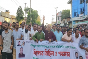 দেশকে অস্থিতিশীল করার ষড়যন্ত্র জিয়ার সৈনিকদের রুখে দিতে হবে: এমপি এমরান আহমদ চৌধুরী