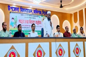 জকিগঞ্জে বিভিন্ন শিক্ষা প্রতিষ্ঠানে গাছের চারা বিতরণ করলেন এমপি মুফতী আবুল হাসান