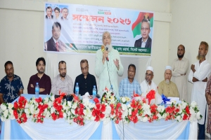 তৃণমূলকে শক্তিশালী করতে ঐক্যবদ্ধভাবে কাজ করতে হবে: নাসিম হোসাইন
