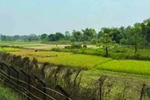  ভারতের ত্রিপুরায় 'চোর সন্দেহে' তিন বাংলাদেশিকে হত্যা