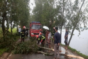শ্রীমঙ্গলে কালবৈশাখী ঝড়ে ব্যাপক ক্ষয়ক্ষতি, বিদ্যুৎ ব্যবস্থা লণ্ডভণ্ড