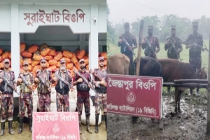 জকিগঞ্জ ও কানাইঘাট সীমান্তে অভিযানে অর্ধকোটি টাকার ভারতীয় মালামাল জব্দ