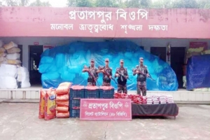 সিলেট সীমান্তে ২৯ লাখ টাকার চোরাচালানের পণ্য জব্দ
