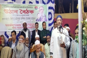 বিএনপি উন্নয়নের রাজনীতি করে : চাকসু মামুন 