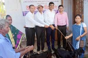 কুলাউড়ায় ক্ষুদ্র নৃ-গোষ্ঠীর ১৫০ পরিবারের মাঝে ৩০০ ছাগল বিতরণ