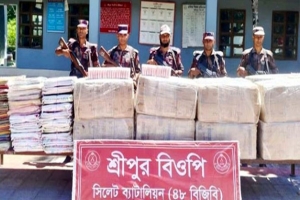 সিলেট সীমান্তে সাড়ে ৩ কোটি টাকার চোরাই পণ্য জব্দ