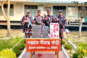 কুলাউড়ায় বিজিবির অভিযানে গরু ও সিগারেট জব্দ