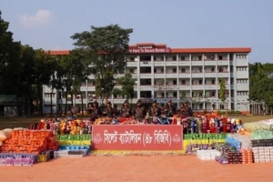 সিলেট ও সুনামগঞ্জ সীমান্তে বিজিবির অভিযানে ১ কোটি ৩০ লাখ টাকার চোরাচালান জব্দ