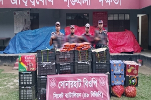  সিলেট সীমান্তে বিজিবির অভিযান, ২৪ লাখ টাকার ভারতীয় পণ্য জব্দ