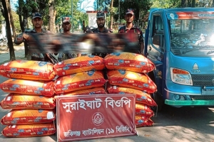 সিলেট সীমান্তে ৩৪ লাখ ৮০ হাজার টাকার চোরাই পণ্য জব্দ