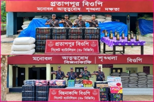 সিলেটের ৭ সীমান্তে বিজিবির অভিযান, ২০ লাখ টাকার পণ্য জব্দ