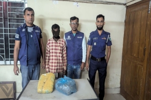 বড়লেখায় ২ কেজি গাঁজাসহ আটক ১