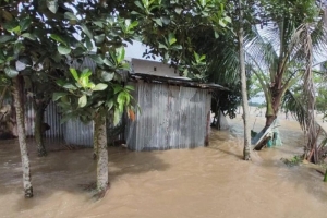 টানা বৃষ্টি ও পাহাড়ি ঢল : মৌলভীবাজারে ৫০ হাজার মানুষ পানিবন্দী