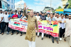  বিদ্যুৎ সংকট দ্রুত কাটিয়ে উঠার চেষ্টা করছে সরকার: এমপি এমরান চৌধুরী