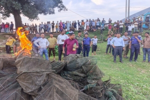 শান্তিগঞ্জে নিষিদ্ধ ৪৯টি  রিং জাল পুড়িয়ে ধ্বংস : ৪ জনকে অর্থদণ্ড