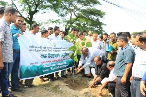 সিলেটে বৃক্ষরোপণ কর্মসূচির উদ্বোধনকালে সিসিক প্রশাসক