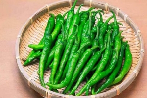 সাইনাসের সমস্যায় কাঁচা মরিচ খাবেন