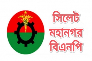মহানগর বিএনপির প্রবাসী ৩ উপদেষ্টার পদ স্থগিত