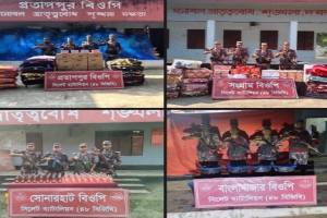 সিলেট সীমান্তে প্রায় ২৮ লাখ টাকার ভারতীয় চোরাচালানি জব্দ