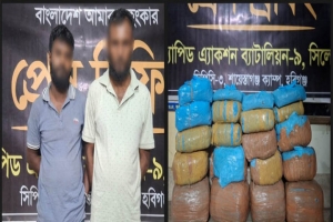  হবিগঞ্জে বিপুল পরিমাণ গাঁজাসহ দুই মাদককারবারী আটক