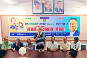 ত্যাগী নেতাকর্মীদের মূল্যায়ন করে নতুন নেতৃত্বকে সামনে নিয়ে আসতে হবে: নাসিম হোসাইন
