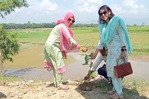 কানাইঘাট স্টেডিয়ামের সৌন্দর্য বাড়াতে চেয়ার স্থাপন ও বৃক্ষরোপণ করলেন মাহমুদা সুলতানা
