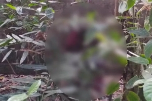 বিশ্বনাথে নিখোঁজের পর জঙ্গল থেকে তরুণীর মরদেহ উদ্ধার