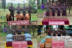 জৈন্তাপুর ও কানাইঘাট সীমান্তে মদসহ বিভিন্ন পণ্য জব্দ