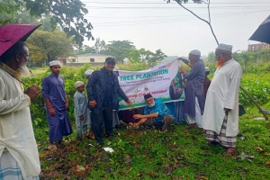 ধনুকান্দি মাদরাসায় জালালাবাদ রোটারি ক্লাবের বৃক্ষরোপণ