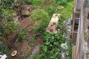 এমসি কলেজ ছাত্রাবাসে মশার দাপটে অতিষ্ঠ শিক্ষার্থীরা, ব্যাহত পড়াশোনা