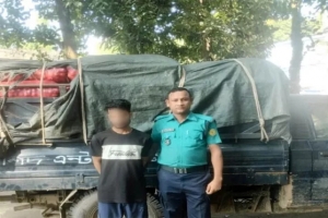 সিলেটে অবৈধ ভারতীয় পেঁয়াজ ও পিকআপসহ আটক ১