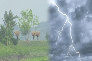 সুনামগঞ্জের চার উপজেলায় বজ্রপাতে ৫ কৃষকের মৃত্যু