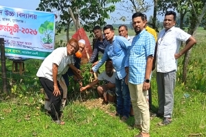 ছাতকে জালালাবাদ উচ্চ বিদ্যালয়ে আবুল হাসানের অর্থায়নে শতাধিক ফল ও বনজ চারা রোপণ