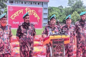 সিলেটে সীমান্তে আড়াই কোটি টাকার ভারতীয় পণ্য জব্দ