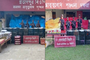 সিলেট সীমান্তে বিজিবির অভিযান, জব্দ ৩১ লাখ টাকার পণ্য