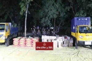  সিলেটে সীমান্তে বিপুল পরিমাণ ভারতীয় অবৈধ মালামাল জব্দ 