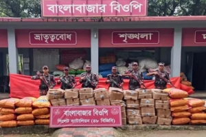 সিলেটে ৭২ লাখ টাকার চোরাচালানী মালামাল জব্দ