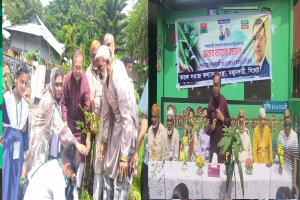 তারেক রহমানের নির্দেশে ওয়ান চাইল্ড ওয়ান ট্রি’ নিয়ে কাজ করছি: এমদাদ হোসেন চৌধুরী