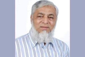 দলীয় পদ ফিরে পেলেন বিএনপি নেতা নাসিম হোসাইন